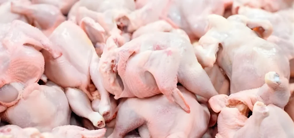 Fresh Chicken Supply in Adyala Road