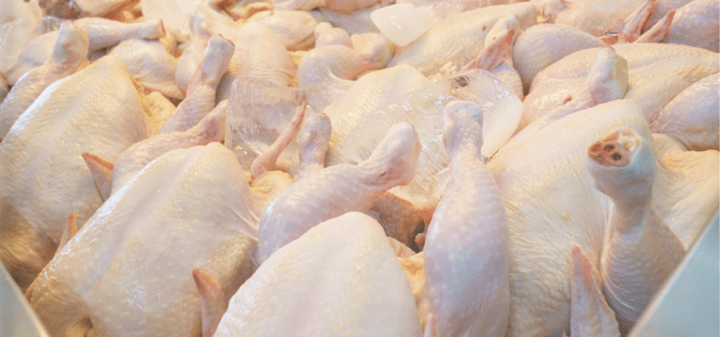 bulk chicken code road