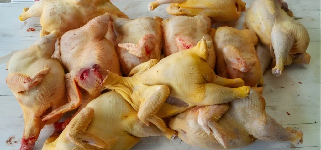 fresh chicken supply in Baqir Colony Rawalpindi