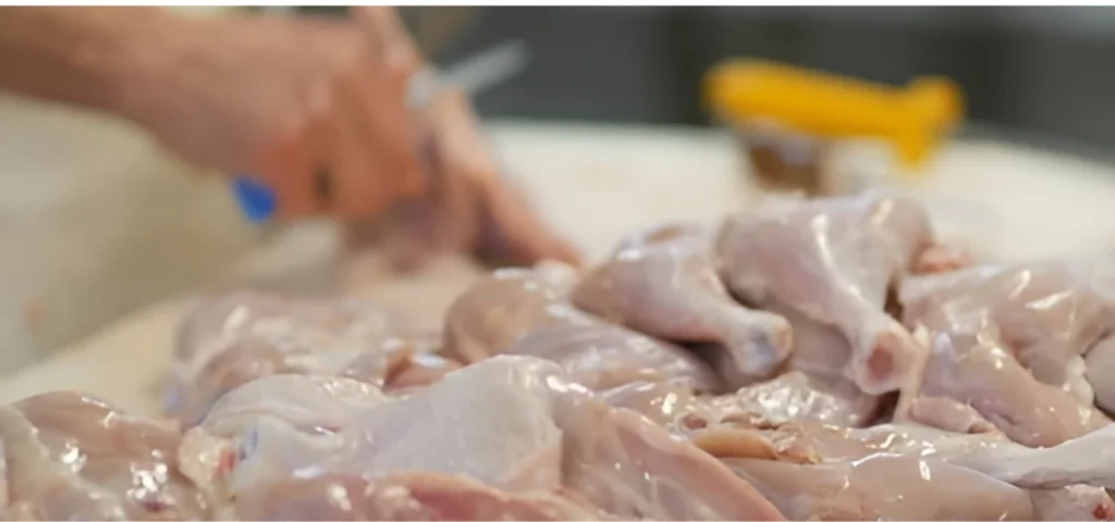 Fresh Chicken Supply Saddar Kamran Market Rawalpindi