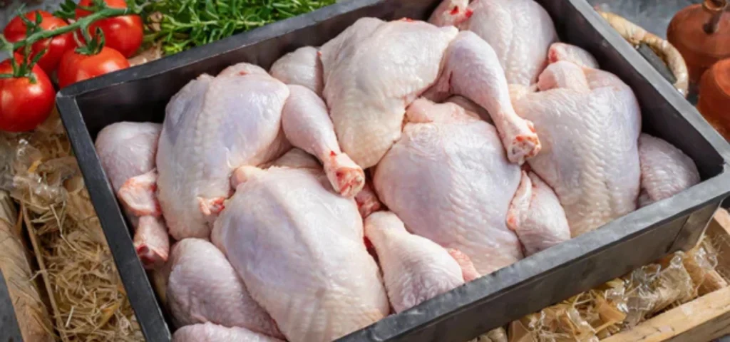_Fresh Chicken Supply in Bahria Town Phase 8