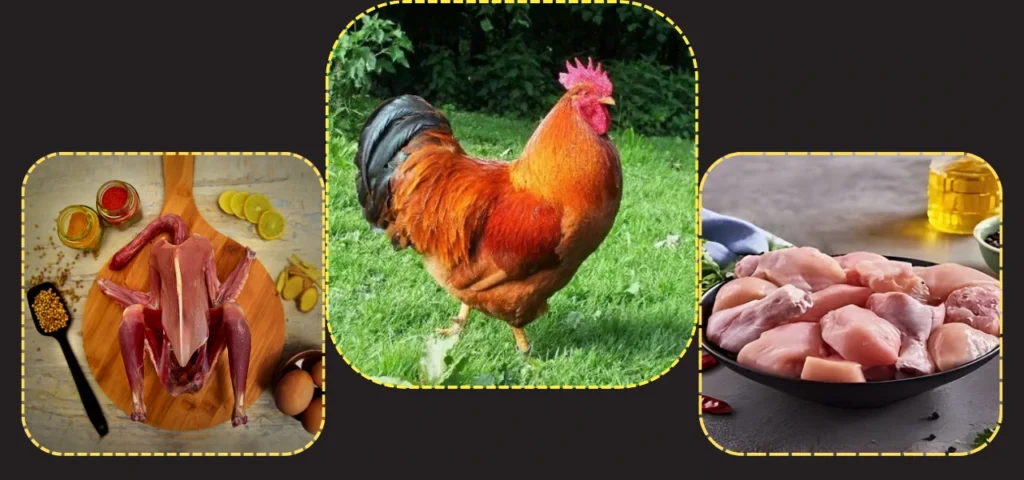 Order Desi Chicken Online