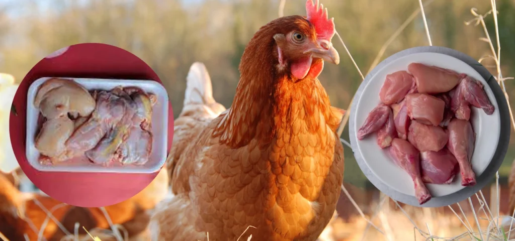 Order Desi Chicken in Islamabad & Rawalpindi