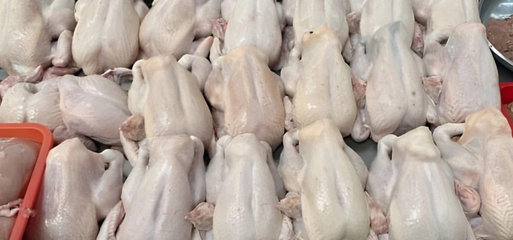 wholesale chicken supply in Sher Zaman Colony